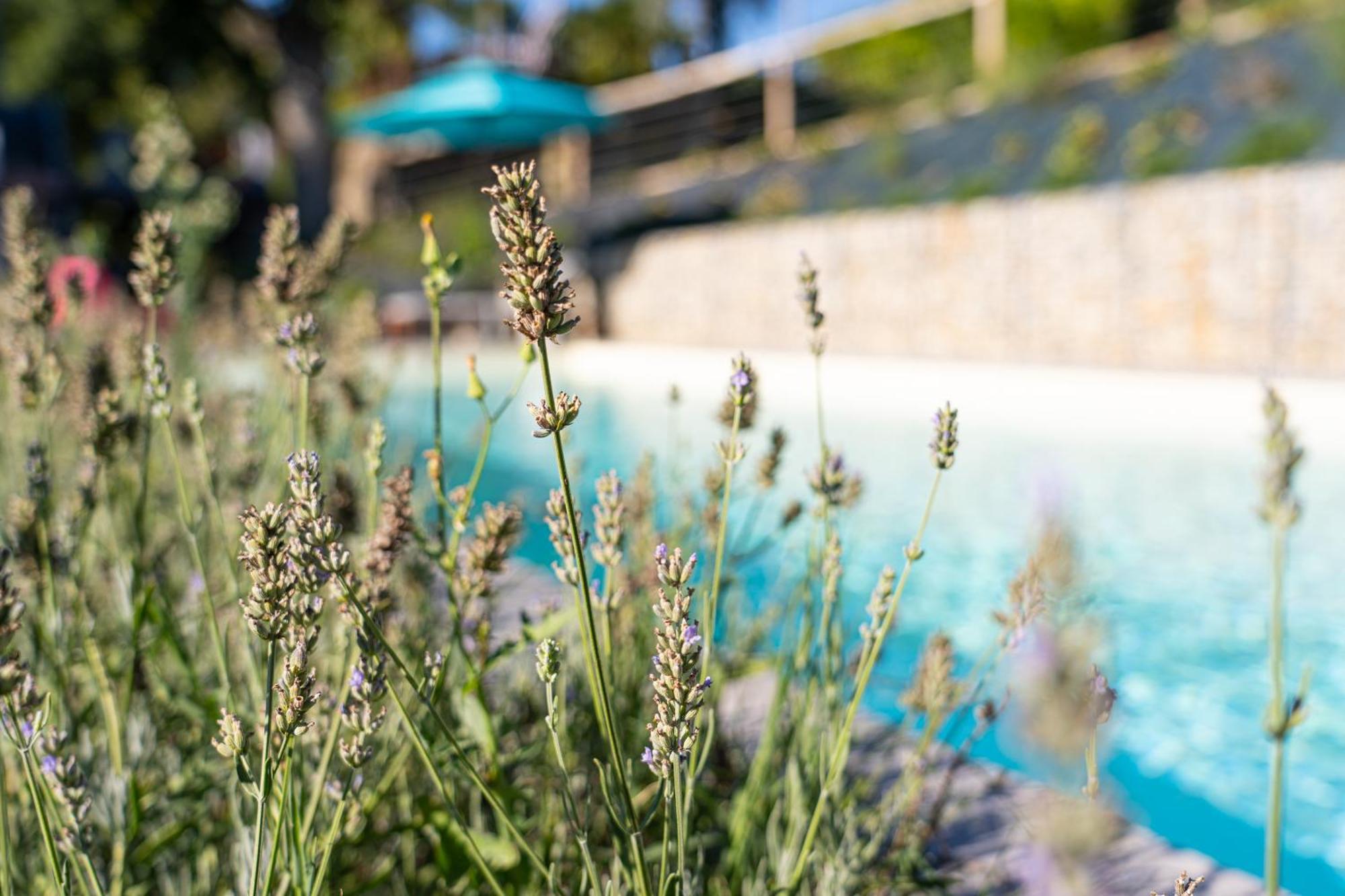 Cascina Giantino Suite Cantina - G A Y - M E N - O N L Y (Adults Only) Montegrosso d'Asti Экстерьер фото